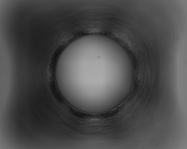 X0000100340743200806191024