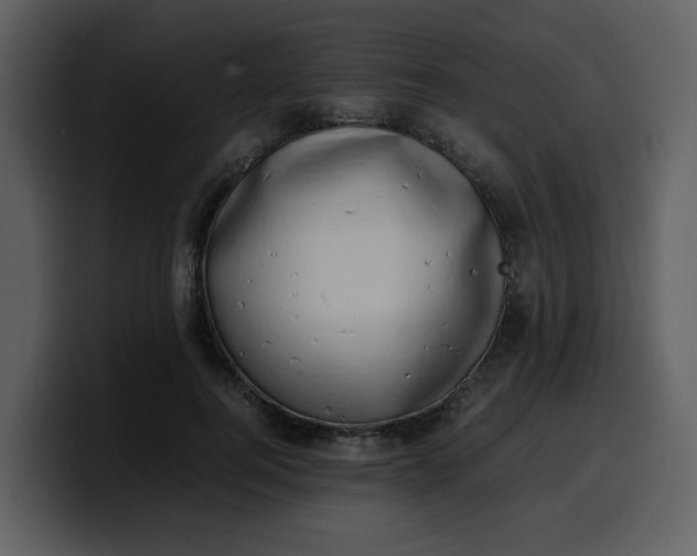 X0000100340744200806191024