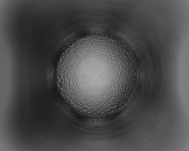 X0000100340745200806191024