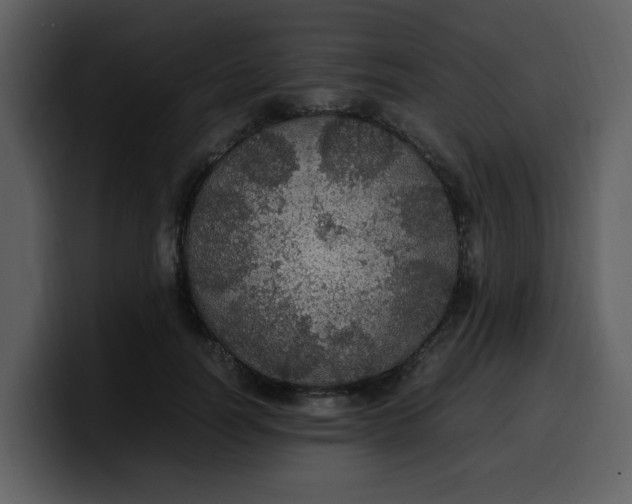 X0000100340746200806191024