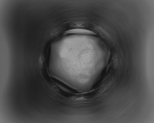 X0000100340747200806191024