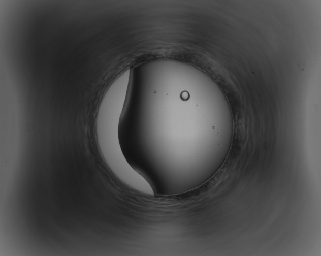 X0000100340750200806191024