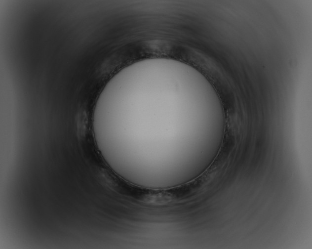 X0000100340752200806191024