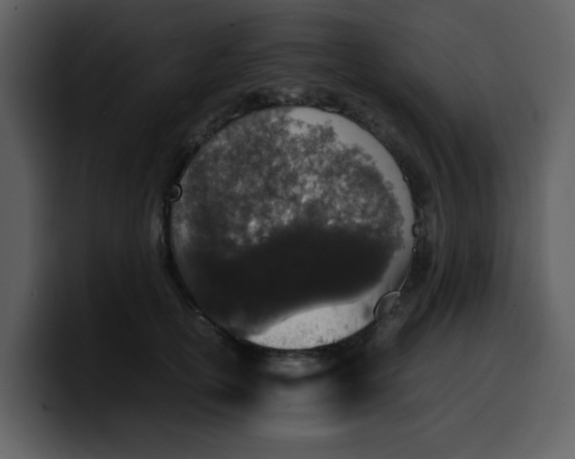 X0000100340754200806191024