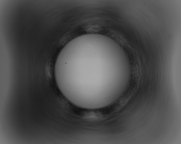 X0000100340755200806191024