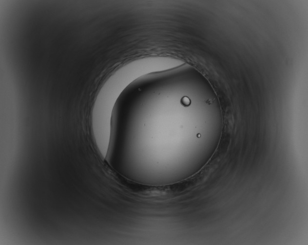 X0000100340756200806191024