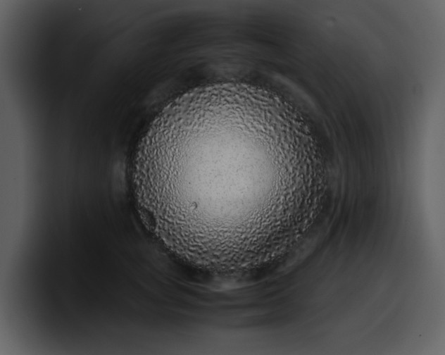 X0000100340757200806191024