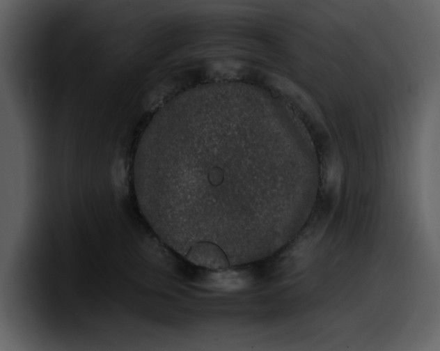 X0000100340759200806191024