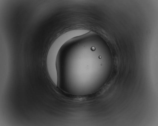 X0000100340760200806191024