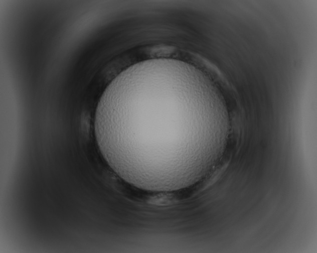 X0000100340761200806191024