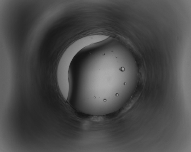 X0000100340762200806191024