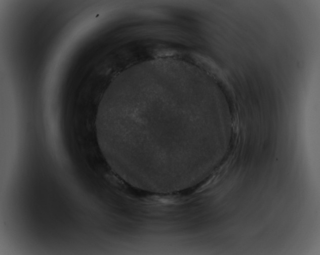 X0000100340763200806191024