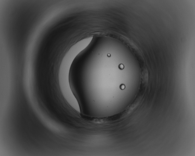 X0000100340764200806191024