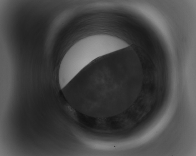 X0000100340766200806191024