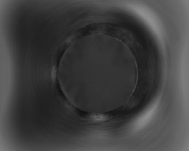 X0000100340767200806191024