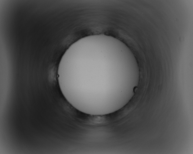 X0000100340768200806191024