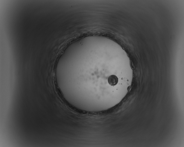 X0000100340769200806191024