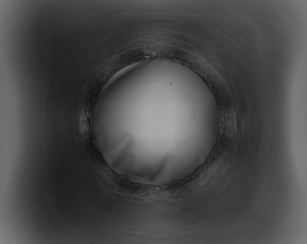 X0000100340770200806191024