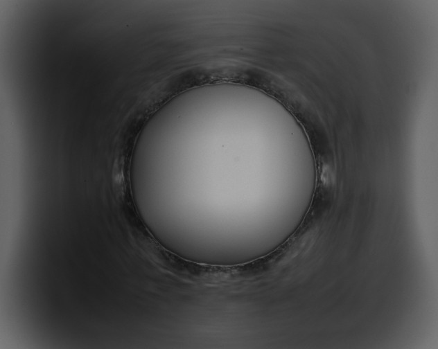 X0000100340771200806191023