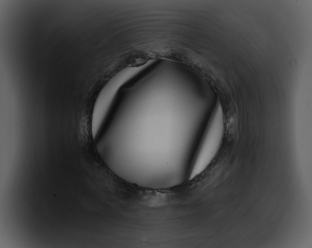 X0000100340772200806191023