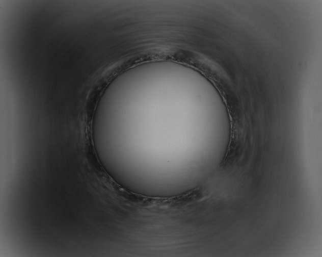 X0000100340773200806191023