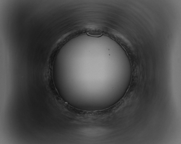 X0000100340776200806191023