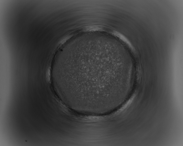 X0000100340777200806191023