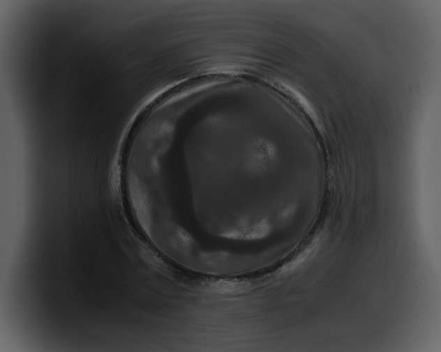 X0000100340779200806191023