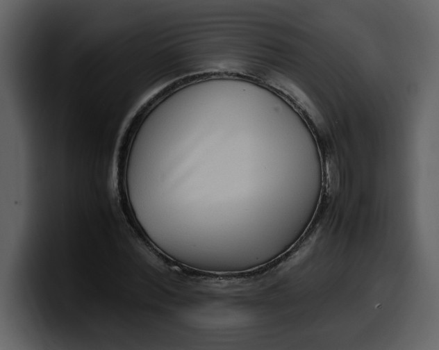 X0000100340780200806191023