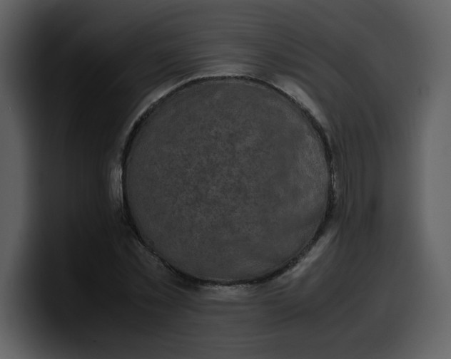 X0000100340781200806191023