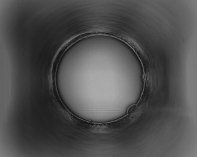 X0000100340784200806191023