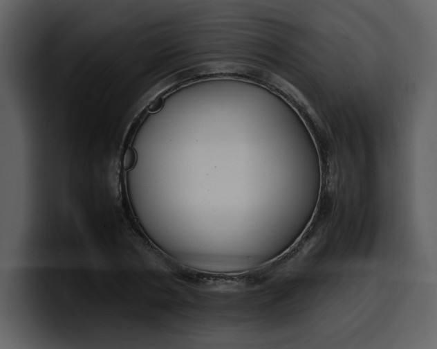 X0000100340786200806191023