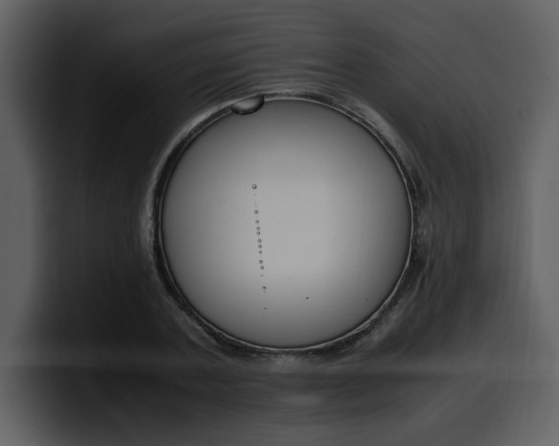 X0000100340787200806191023