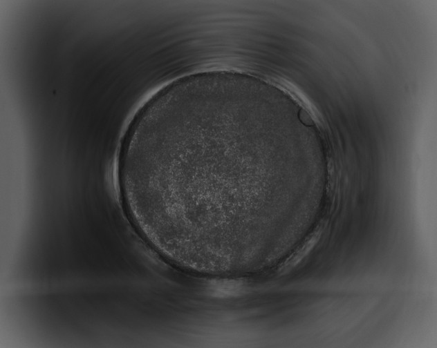 X0000100340788200806191023