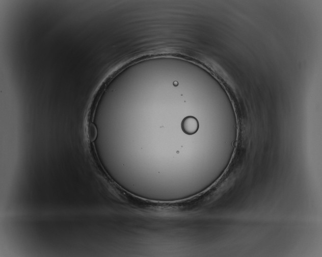 X0000100340789200806191023