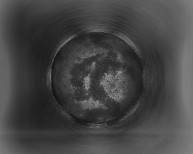 X0000100340790200806191023