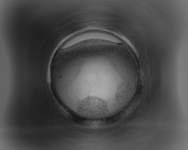 X0000100340791200806191023