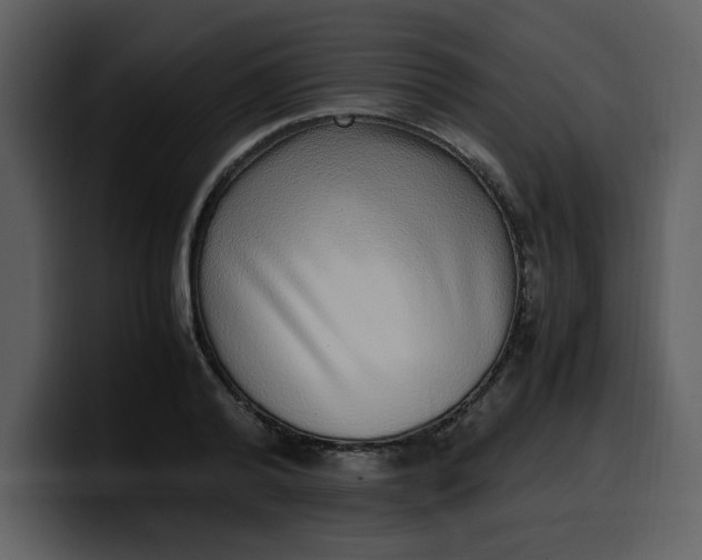 X0000100340792200806191023