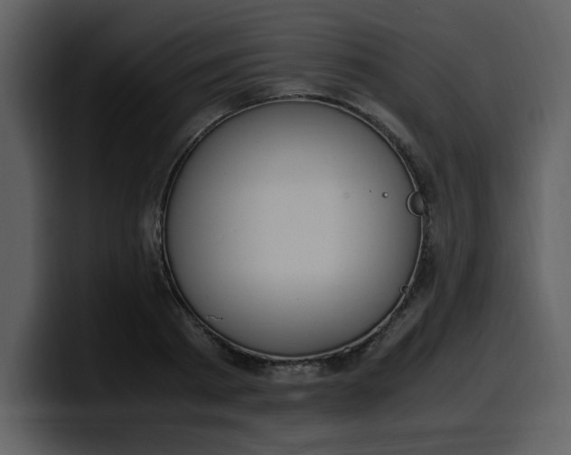 X0000100340793200806191023