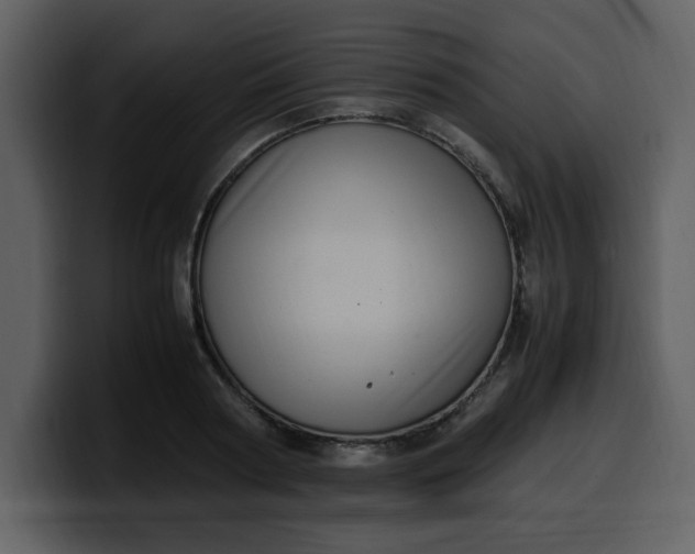 X0000100340794200806191023