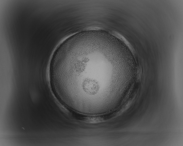 X0000100340795200806191023