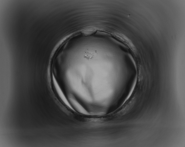 X0000100340796200806191023