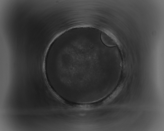 X0000100340797200806191023