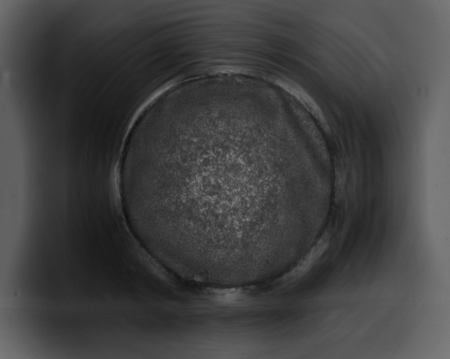 X0000100340798200806191023