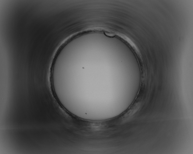 X0000100340799200806191023