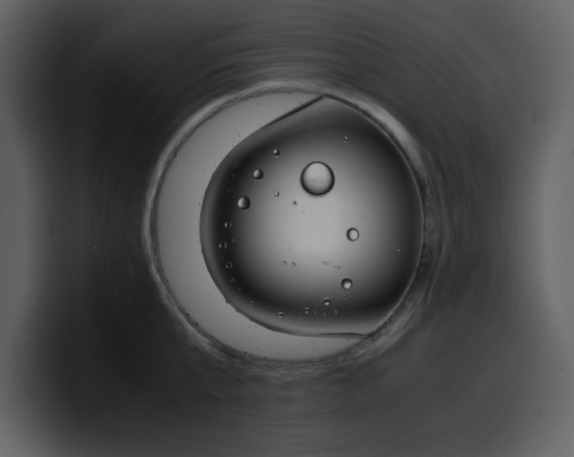 X0000100340807200806191023