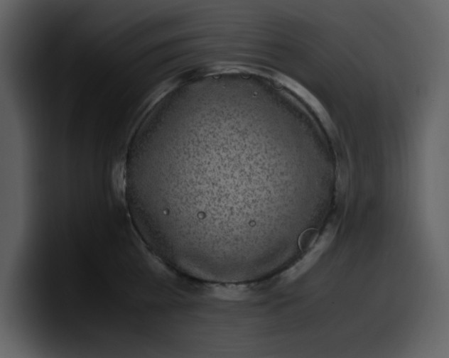 X0000100340809200806191023