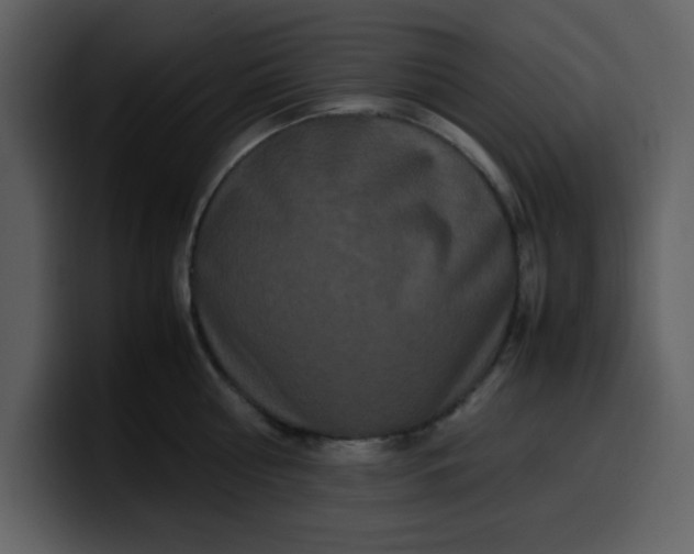 X0000100340810200806191023