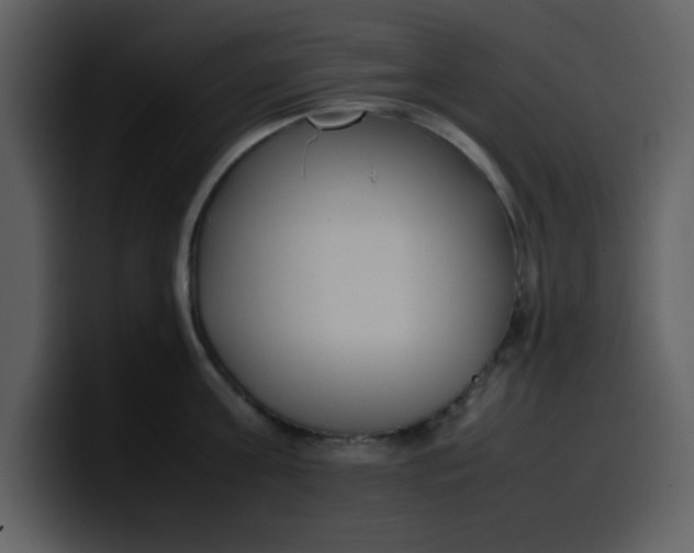 X0000100340811200806191023