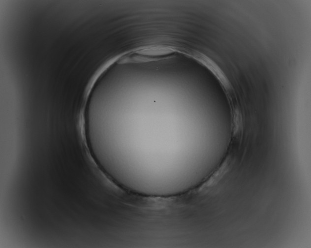 X0000100340812200806191023